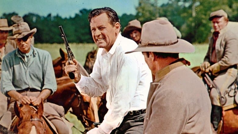 Alvarez Kelly still