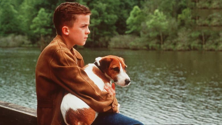 My Dog Skip still
