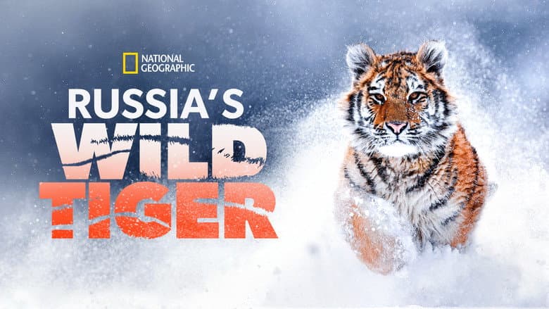 Russia's Wild Tiger still