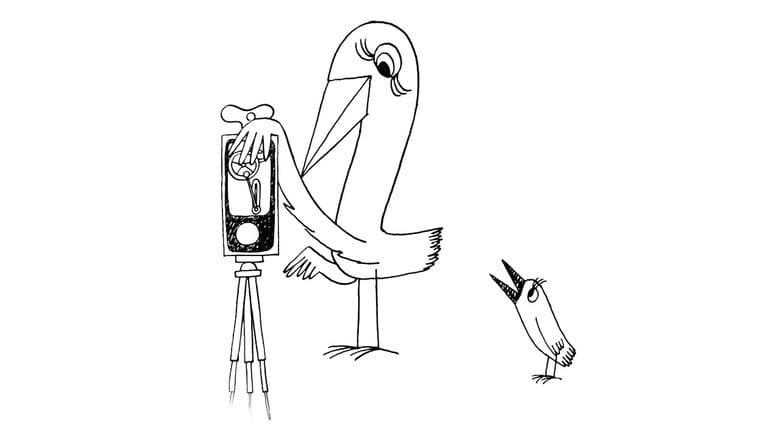 Strange Birds still