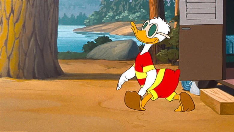 Duck Flies Coop still
