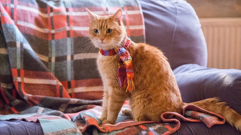 A Street Cat Named Bob still