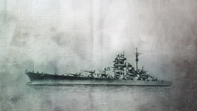 Sink the Bismarck! still