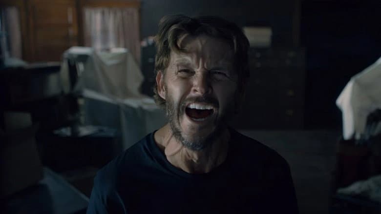 The Portrait still