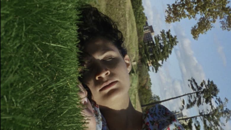 Willow World still