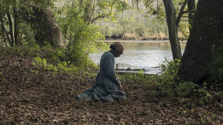 Harriet still
