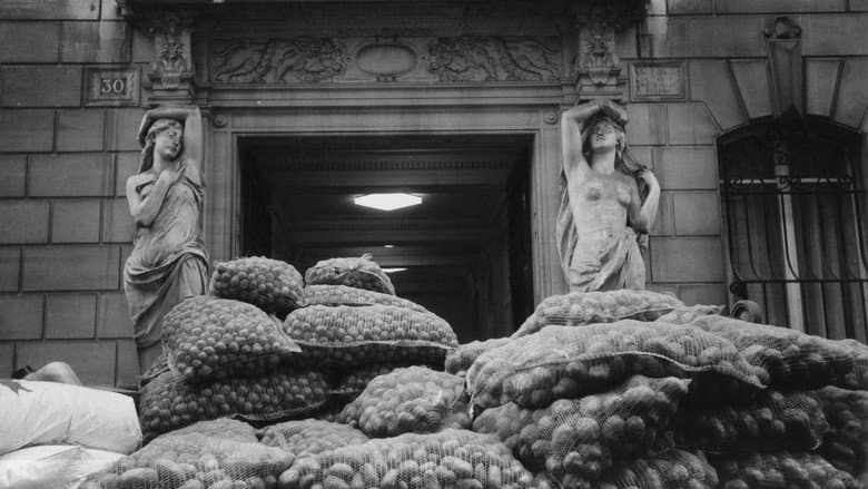 The So-Called Caryatids still
