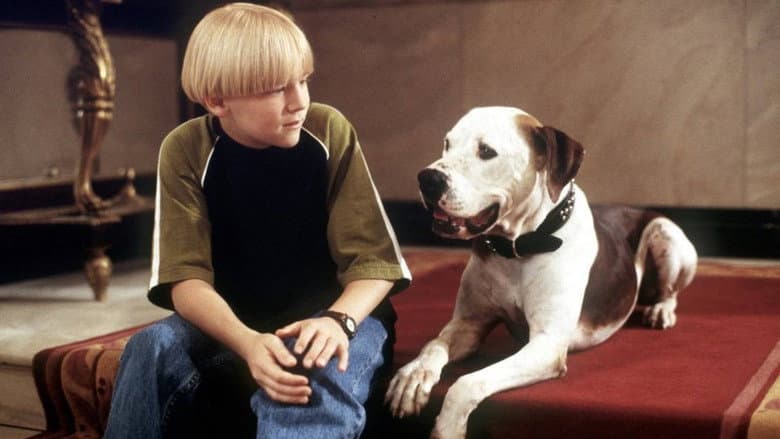 The Pooch and the Pauper still