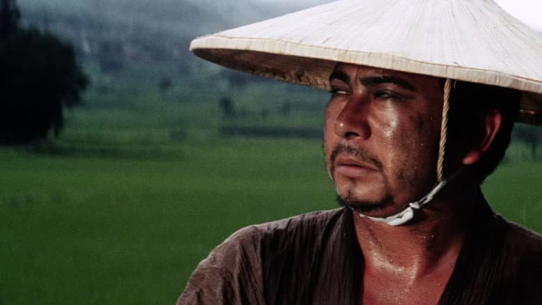 Zatoichi the Outlaw still