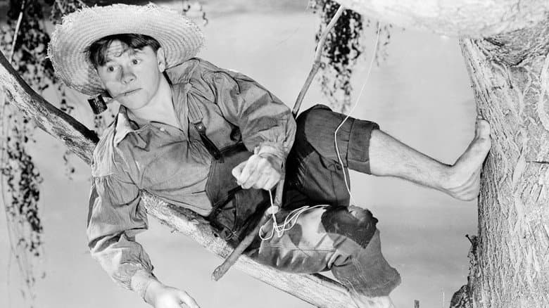 The Adventures of Huckleberry Finn still