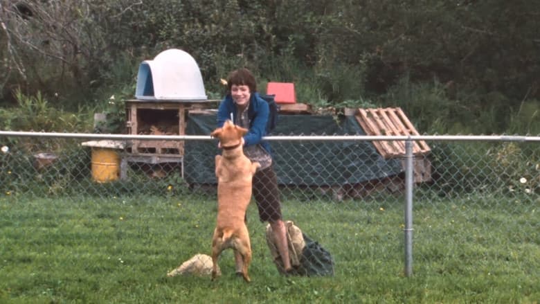 Wendy and Lucy still