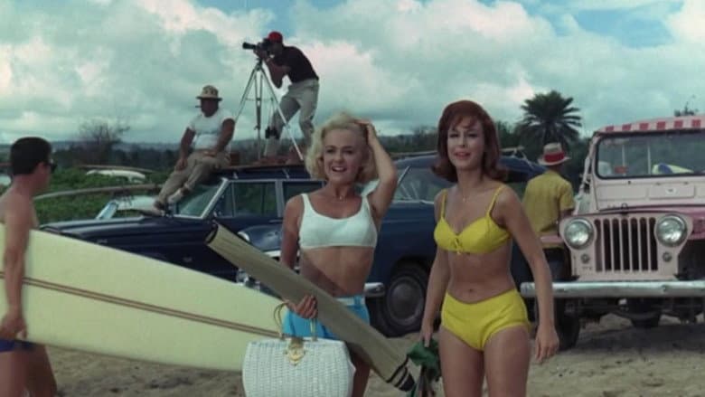 Ride the Wild Surf still