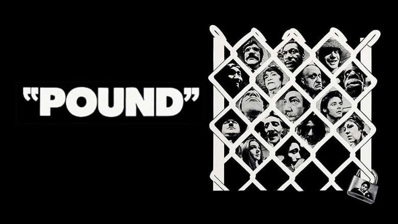 Pound still