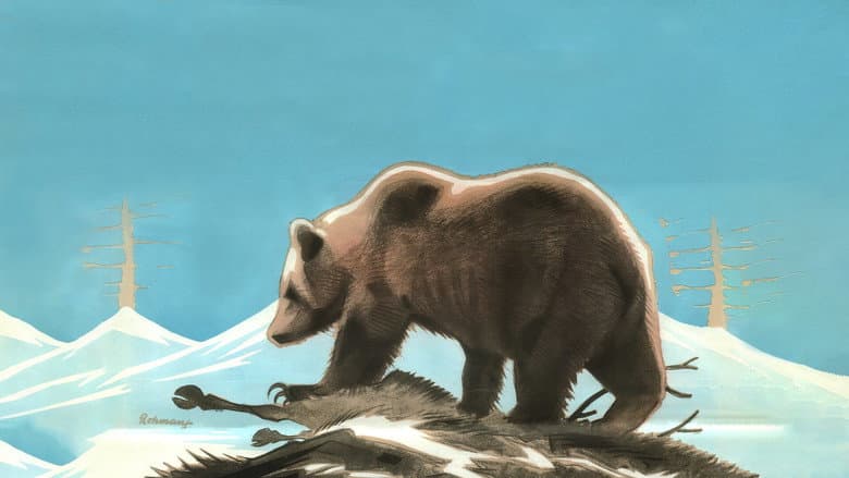 In the Kingdom of the Lapland Bear still