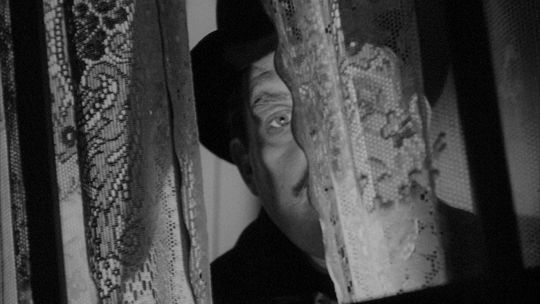 The Lodger still