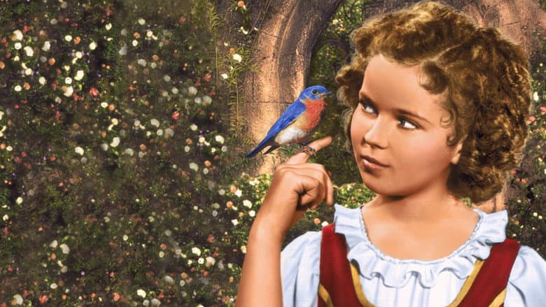 The Blue Bird still