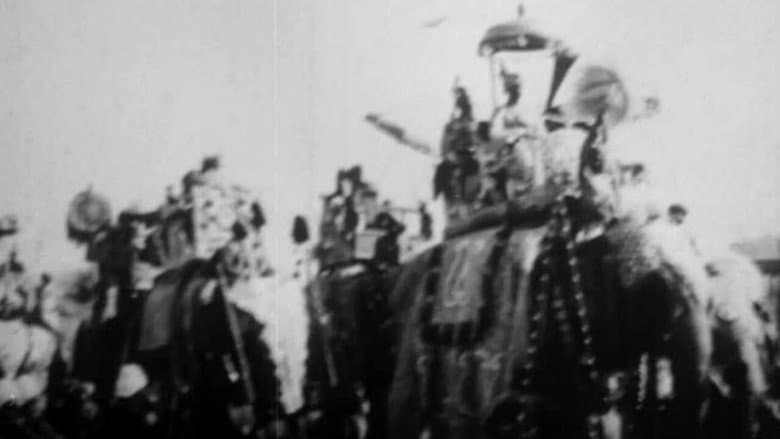 Procession of Elephants with Howdahs - India still