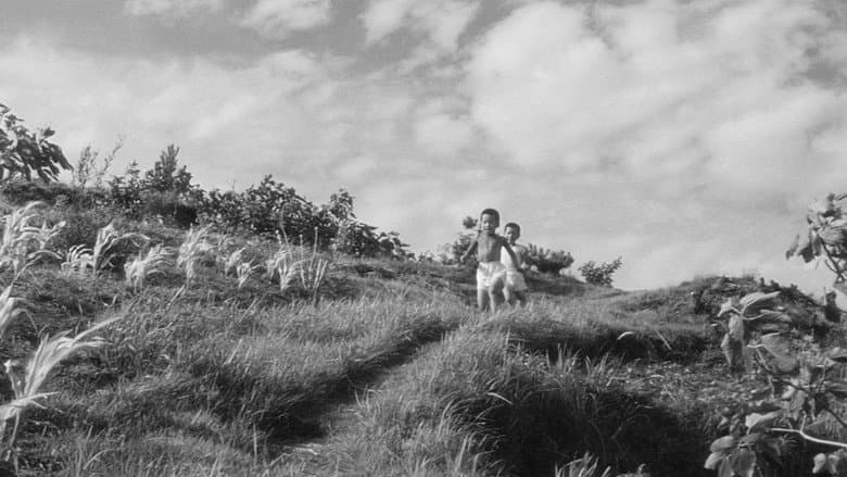 The Naked Island still