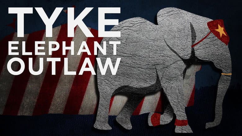 Tyke Elephant Outlaw still
