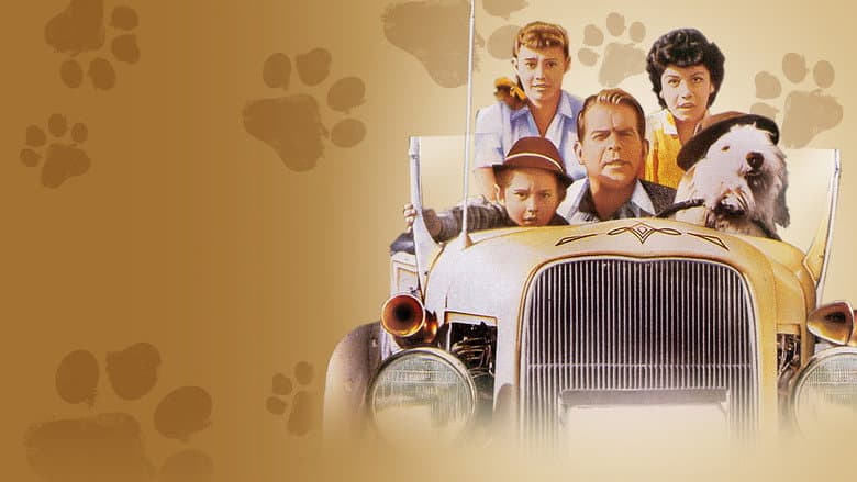The Shaggy Dog still