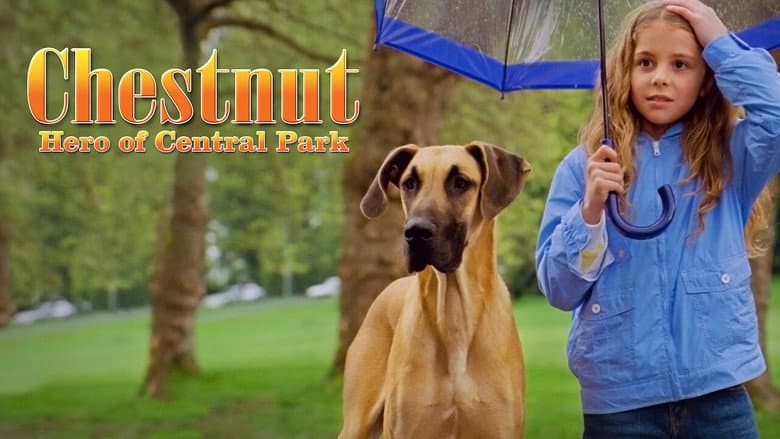 Chestnut: Hero of Central Park still