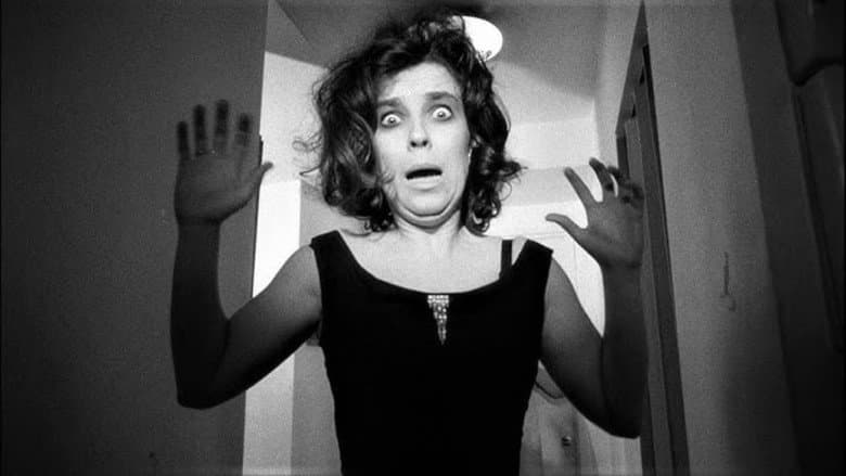 The Secret Cinema still