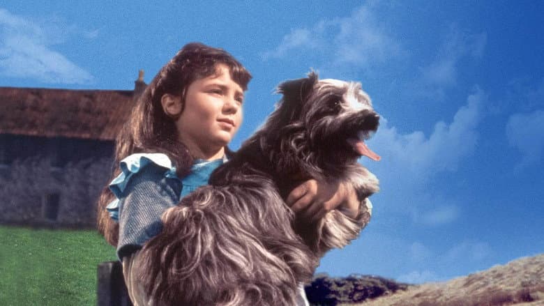 Greyfriars Bobby still