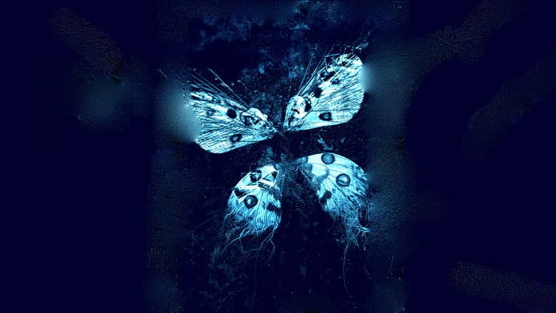 The Butterfly Effect 3: Revelations still
