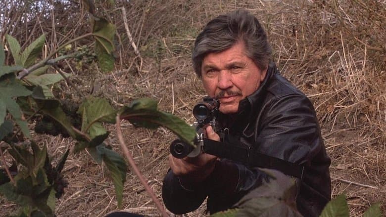 Death Wish 4: The Crackdown still