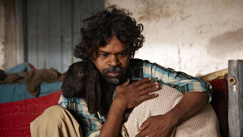 Peepli Live still