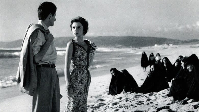 Lovers' Net still