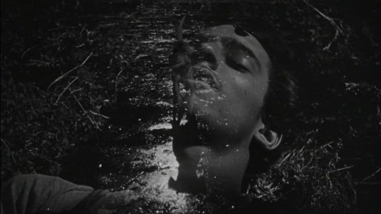 The Young and the Damned still