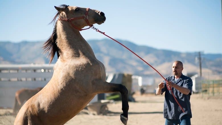 The Mustang still