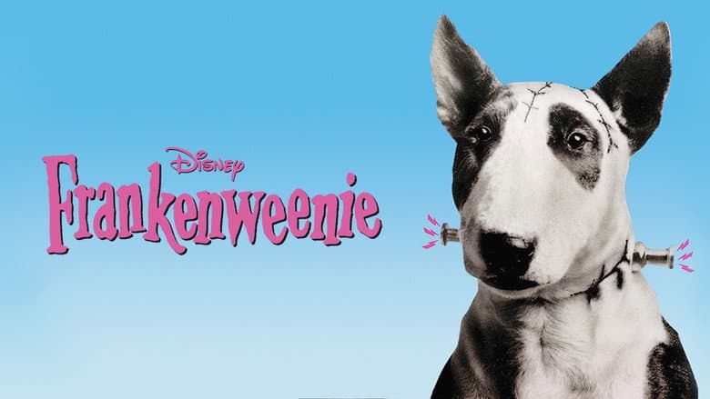 Frankenweenie still