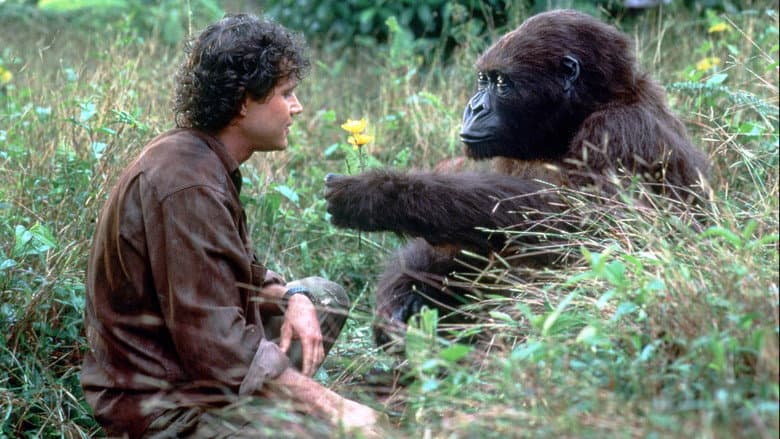Congo still