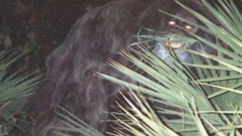 Southern Fried Bigfoot still