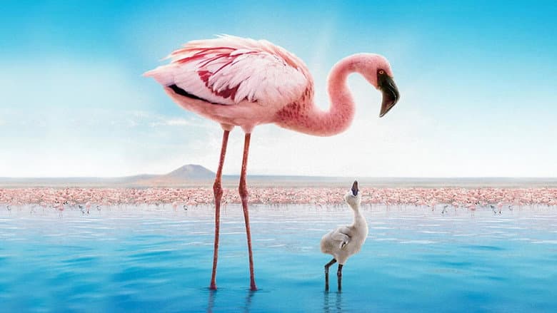 The Crimson Wing: Mystery of the Flamingos still