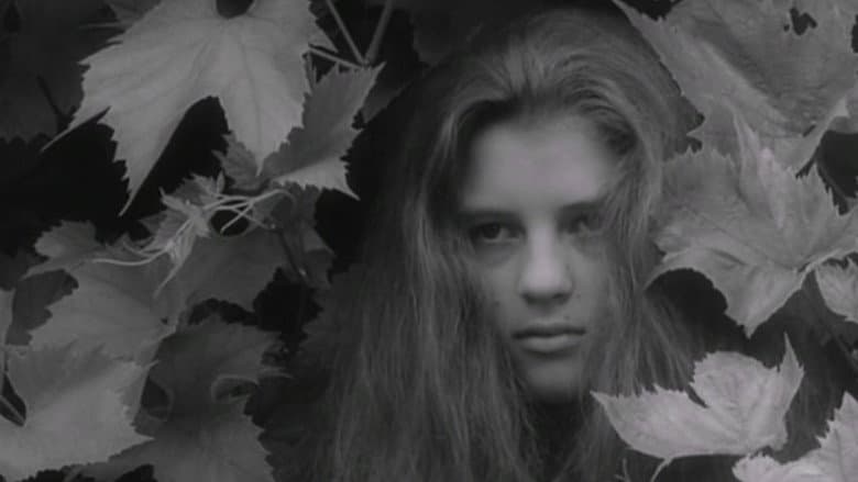 Alice in Wonderland still