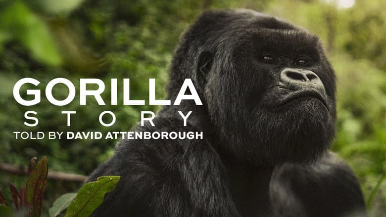 A Gorilla Story: Told by David Attenborough still