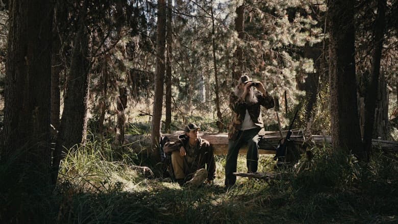 Marshland still