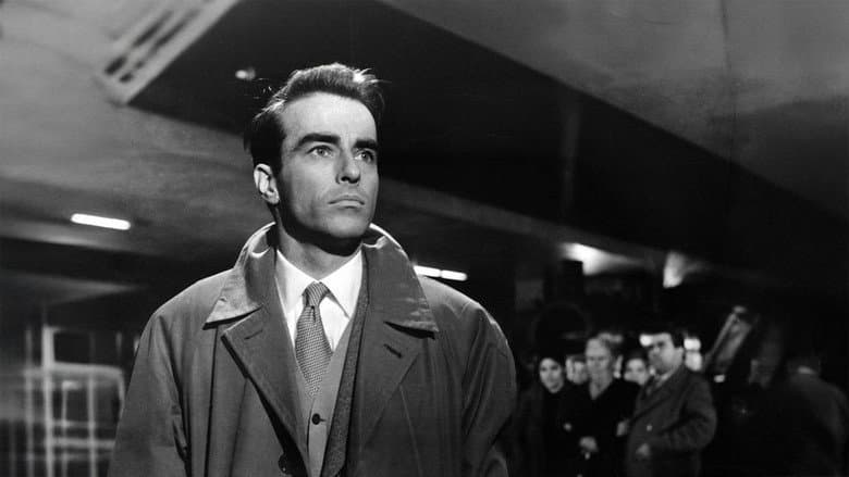 Indiscretion of an American Wife still