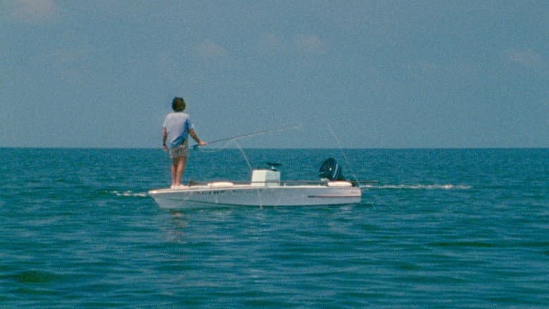 Tarpon still