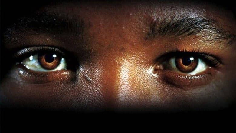 Tsotsi still