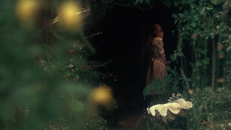 Picnic at Hanging Rock still