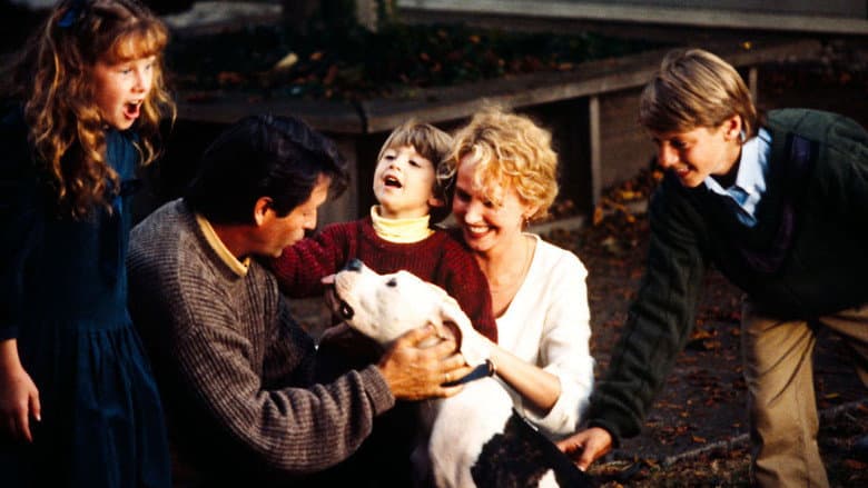 Homeward Bound: The Incredible Journey still