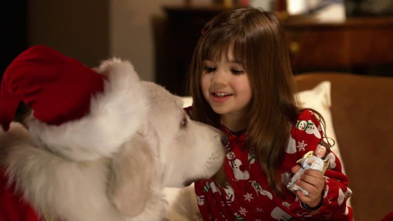The Search for Santa Paws still