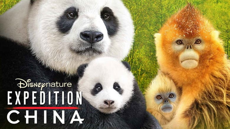 Expedition China still