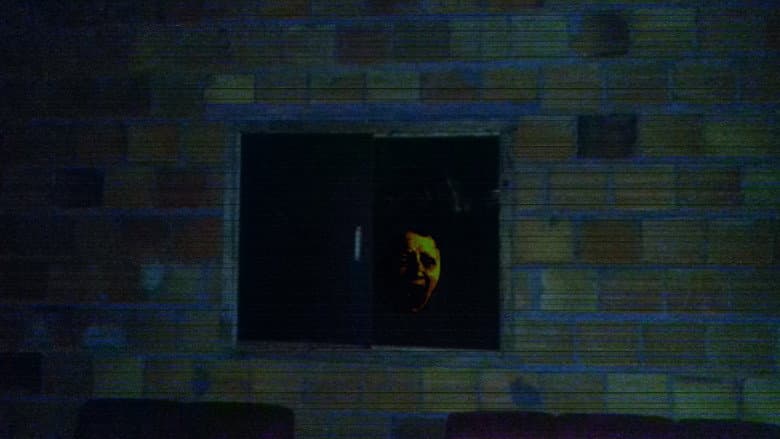Happy Face In The Window still