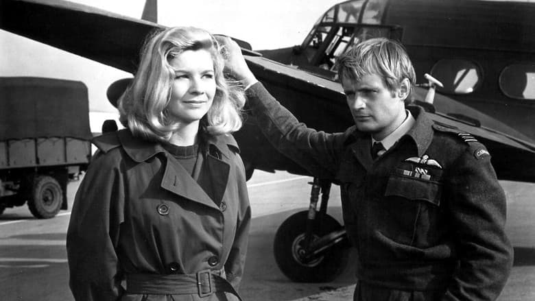 Mosquito Squadron still