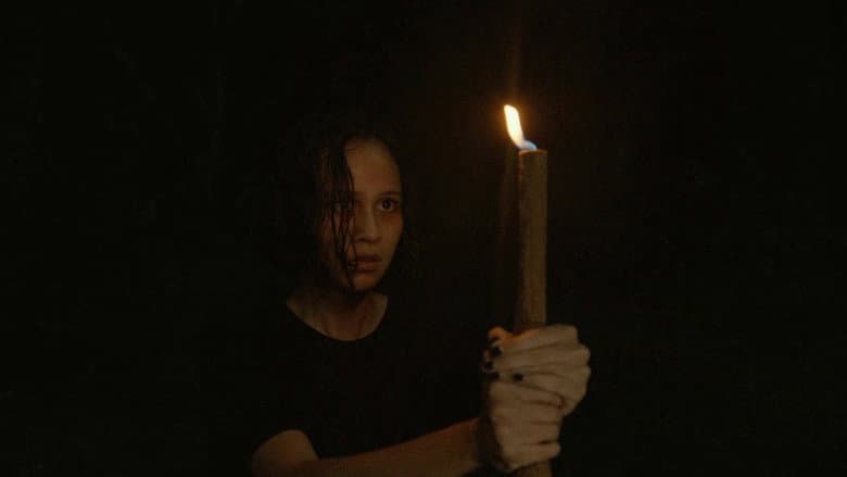 Sacred 2 still